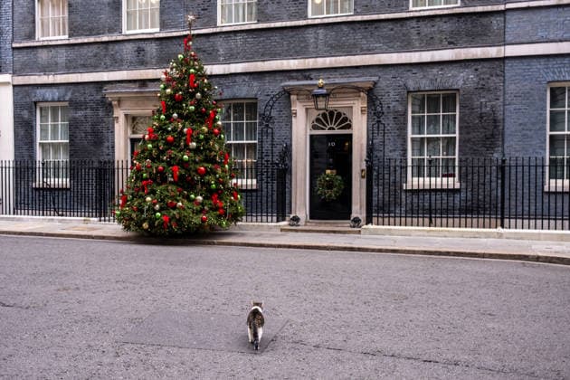 Daily Life in London Larry the cat, Chief Mouser of the Cabinet at 10 Downing Street on December 17, 2025 in London, United Kingdom. (Photo by Vernon Yuen Nexpher Images) London
