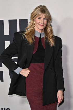 Searchlight Pictures™ ˜Is This Thing On?™ Premiere Laura Dern arriving at Searchlight Pictures™ Is This Thing On? Los Angeles premiere held at Vidiots on December 18, 2025 in Los Angeles, CA. Los Angeles Vidiots California USA Copyright: xStarbuck xAFF-USA.COMx
