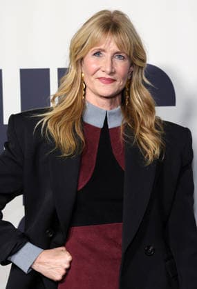 Red carpet Los Angeles premiere of Searchlight Pictures Is This Thing On? at Vidiots Featuring: Laura Dern Where: Los Angeles, California, United States When: 18 Dec 2025 Credit: Faye s Vision Cover Images EDITORIAL USE ONLY. NOT FOR USE BY NEWSPAPERS BASED IN THE UK. Copyright: xx coverimg55347390