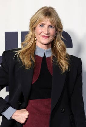 Red carpet Los Angeles premiere of Searchlight Pictures Is This Thing On? at Vidiots Featuring: Laura Dern Where: Los Angeles, California, United States When: 18 Dec 2025 Credit: Faye s Vision Cover Images EDITORIAL USE ONLY. NOT FOR USE BY NEWSPAPERS BASED IN THE UK. Copyright: xx coverimg55347391