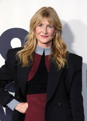 Red carpet Los Angeles premiere of Searchlight Pictures Is This Thing On? at Vidiots Featuring: Laura Dern Where: Los Angeles, California, United States When: 18 Dec 2025 Credit: Faye s Vision Cover Images EDITORIAL USE ONLY. NOT FOR USE BY NEWSPAPERS BASED IN THE UK. Copyright: xx coverimg55347395