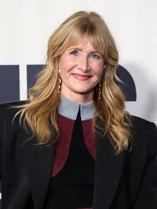 Is This Thing On Premiere - LA Laura Dern At The Los Angeles Premiere Of Searchlight Pictures Is This Thing On? At Vidiots In Los Angeles CA, USA on December 18, 2025. Photo by Fati S ABACAPRESS.COM Los Angeles CA United States  Copyright: xFatixSadou ABACAPRESS.COMx