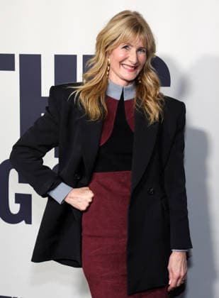 Is This Thing On Premiere - LA Laura Dern At The Los Angeles Premiere Of Searchlight Pictures Is This Thing On? At Vidiots In Los Angeles CA, USA on December 18, 2025. Photo by Fati S ABACAPRESS.COM Los Angeles CA United States  Copyright: xFatixSadou ABACAPRESS.COMx