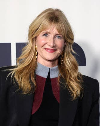 Los Angeles Premiere Of Searchlight Pictures Is This Thing On? 18 December 2025 . Los Angeles, California - Laura Dern At Los Angeles Premiere Of Searchlight Pictures Is This Thing On? held at Vidiots in Los Angeles., Credit:Sadou Faye Avalon United States, CA, Los Angeles, Vidiots  Copyright: xSadouxFayex xAvalonx 1060334782