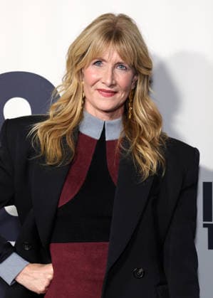 Los Angeles Premiere Of Searchlight Pictures Is This Thing On? 18 December 2025 . Los Angeles, California - Laura Dern At Los Angeles Premiere Of Searchlight Pictures Is This Thing On? held at Vidiots in Los Angeles., Credit:Sadou Faye Avalon United States, CA, Los Angeles, Vidiots  Copyright: xSadouxFayex xAvalonx 1060334843