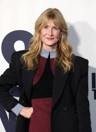 Los Angeles Premiere Of Searchlight Pictures Is This Thing On? 18 December 2025 . Los Angeles, California - Laura Dern At Los Angeles Premiere Of Searchlight Pictures Is This Thing On? held at Vidiots in Los Angeles., Credit:Sadou Faye Avalon United States, CA, Los Angeles, Vidiots  Copyright: xSadouxFayex xAvalonx 1060334863