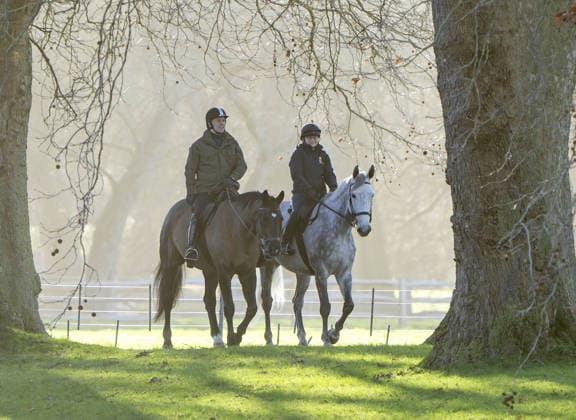 Andrew Windsor out horse riding in Windsor Andrew Windsor out horse riding in Windsor this morning. The US Justice Department is scheduled to release thousands of documents regarding Jeffrey Epstein later today - including some that may detail correspondence with the disgraced former Duke of York. 19.12.2025  Copyright: xChrisxEadesx NINTCHDBPICT001046801703