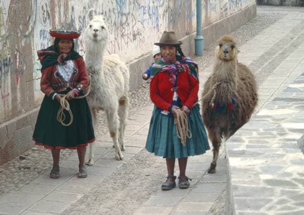 Traditionell gekleidete Frauen mit Lamas und kleinem Kind in Cusco, Peru, Andenhochland, Südamerika, September 1997, vintage, retro, alt, historisch Traditionally dressed woman with llamas and small children in Cusco, Peru, Andean Highlands, South America, September 1997, vintage, retro, old, historic Copyright: imageBROKER SiegfriedxKuttig iblshg15971380.jpg