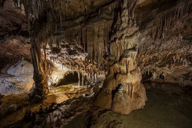 Stalagtiten und Stalagmiten, Felsformationen in einer Tropfsteinhöhle mit Wasserbecken, Grotta del Fico, Golf von Orosei, Baunei, Sardinien, Italien Stalactites and stalagmites, rock formations in a stalactite cave with water basin, Grotta del Fico, Gulf of Orosei, Baunei, Sardinia, Italy Copyright: imageBROKER Marax&xMoritzxWolf ibxmzf15829299.jpg