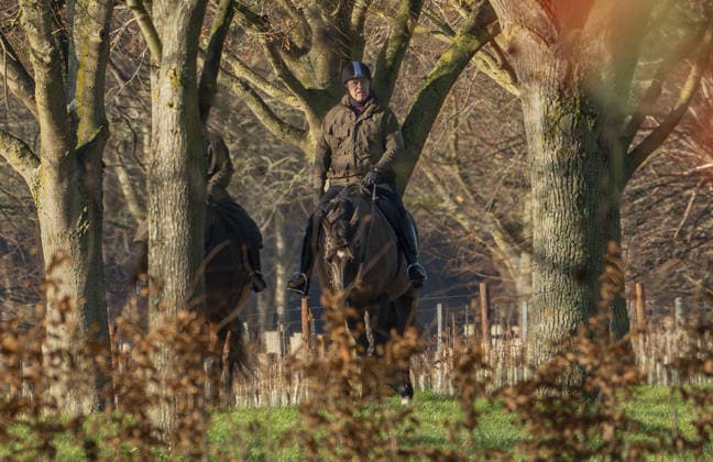 Andrew Mountbatten Windsor pictured at Windsor Castle Andrew Mountbatten Windsor pictured at Windsor Castle. 20.12.2025  Copyright: xIanxWhittakerx NINTCHDBPICT001046975671