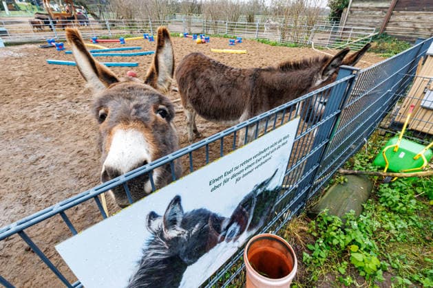 22 12 2025 Dormagen In North Rhine-Westphalia, many people put their heart and soul int