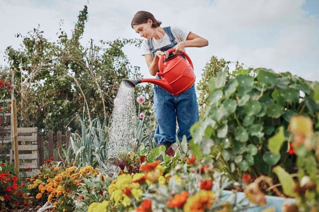 Smiling person watering flowers with red watering can in London allotment model released, Symbolfoto property released, PWF01541