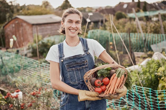 Gardener smiling outdoors holding basket of organic allotment vegetables model released, Symbolfoto property released, PWF01555