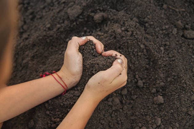Child holding soil and plant in hands. Selective focus. Child holding soil and plant in hands. Selective focus. nature., model released, , 62577194.jpg RECORD DATE NOT STATED