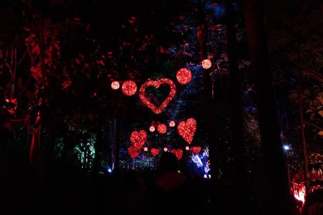 December 25, 2025, Bronx, New York, USA: People attend LUMAGICA Holidays light show at Yarkon Park in Tel Aviv, Israel on Christmas Day - December 25, 2025. Bronx USA - ZUMAr339 20251225_znp_r339_003 Copyright: xLevxRadinx