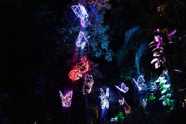 December 25, 2025, Bronx, New York, USA: People attend LUMAGICA Holidays light show at Yarkon Park in Tel Aviv, Israel on Christmas Day - December 25, 2025. Bronx USA - ZUMAr339 20251225_znp_r339_005 Copyright: xLevxRadinx