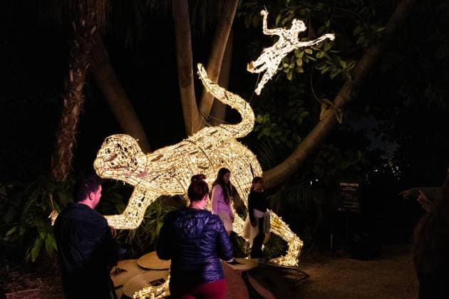 December 25, 2025, Bronx, New York, USA: People attend LUMAGICA Holidays light show at Yarkon Park in Tel Aviv, Israel on Christmas Day - December 25, 2025. Bronx USA - ZUMAr339 20251225_znp_r339_013 Copyright: xLevxRadinx
