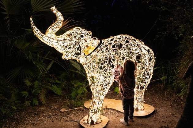 December 25, 2025, Bronx, New York, USA: People attend LUMAGICA Holidays light show at Yarkon Park in Tel Aviv, Israel on Christmas Day - December 25, 2025. Bronx USA - ZUMAr339 20251225_znp_r339_018 Copyright: xLevxRadinx