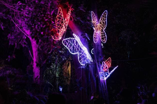 December 25, 2025, Bronx, New York, USA: People attend LUMAGICA Holidays light show at Yarkon Park in Tel Aviv, Israel on Christmas Day - December 25, 2025. Bronx USA - ZUMAr339 20251225_znp_r339_004 Copyright: xLevxRadinx