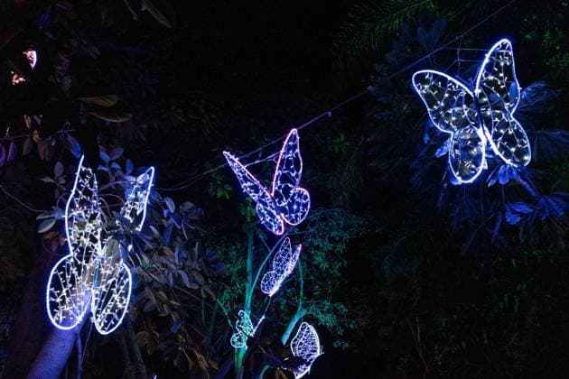 December 25, 2025, Bronx, New York, USA: People attend LUMAGICA Holidays light show at Yarkon Park in Tel Aviv, Israel on Christmas Day - December 25, 2025. Bronx USA - ZUMAr339 20251225_znp_r339_006 Copyright: xLevxRadinx