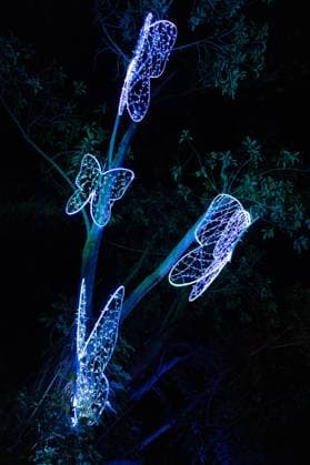 December 25, 2025, Bronx, New York, USA: People attend LUMAGICA Holidays light show at Yarkon Park in Tel Aviv, Israel on Christmas Day - December 25, 2025. Bronx USA - ZUMAr339 20251225_znp_r339_007 Copyright: xLevxRadinx