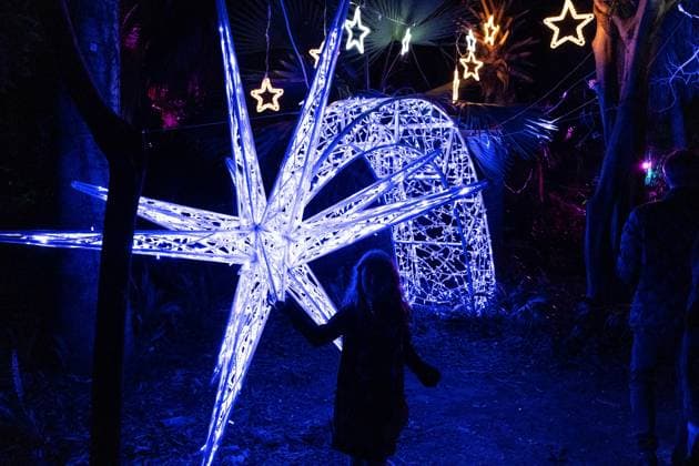 December 25, 2025, Bronx, New York, USA: People attend LUMAGICA Holidays light show at Yarkon Park in Tel Aviv, Israel on Christmas Day - December 25, 2025. Bronx USA - ZUMAr339 20251225_znp_r339_015 Copyright: xLevxRadinx