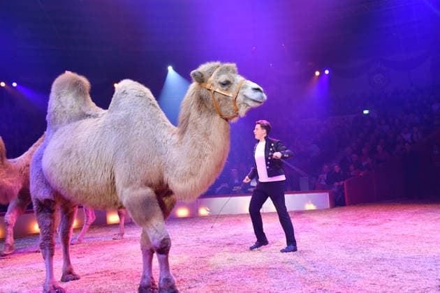 Alexis Lacey Show Premiere Winter Season 2025 Circus Krone Ich Du, Wir Krone Manege Kronebau Munich December 25, 2025