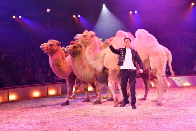 Alexis Lacey Show Premiere Winter Season 2025 Circus Krone Ich Du, Wir Krone Manege Kronebau Munich December 25, 2025