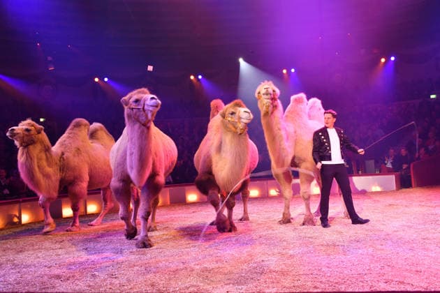 Alexis Lacey Show Premiere Winter Season 2025 Circus Krone Ich Du, Wir Krone Manege Kronebau Munich December 25, 2025