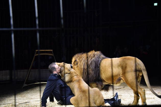 Martin Lacey jr Show Premiere Winter Season 2025 Circus Krone Ich Du, Wir Krone Manege Kronebau Munich December 25, 2025