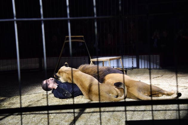 Martin Lacey jr Show Premiere Winter Season 2025 Circus Krone Ich Du, Wir Krone Manege Kronebau Munich December 25, 2025