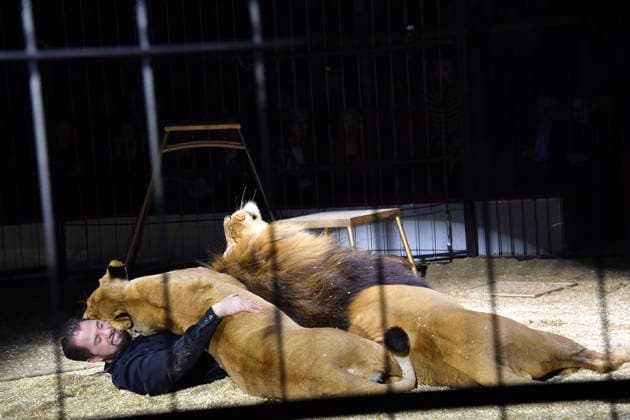 Martin Lacey jr Show Premiere Winter Season 2025 Circus Krone Ich Du, Wir Krone Manege Kronebau Munich December 25, 2025
