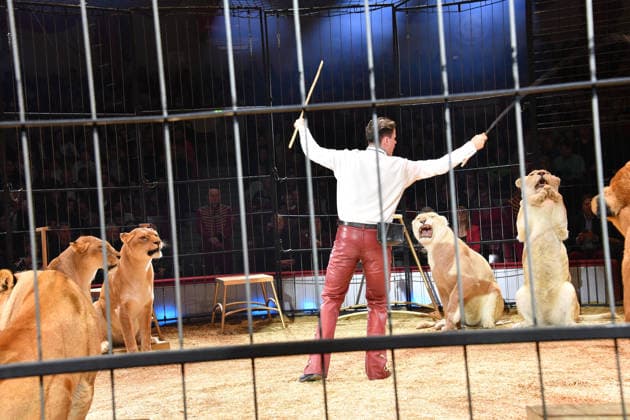 Alexis Lacey Show Premiere Winter Season 2025 Circus Krone Ich Du, Wir Krone Manege Kronebau Munich December 25, 2025