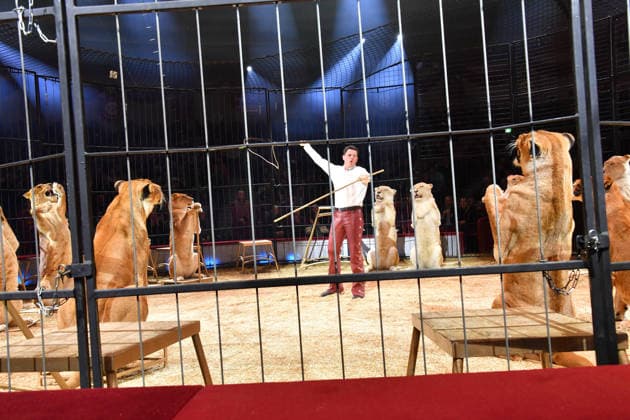 Alexis Lacey Show Premiere Winter Season 2025 Circus Krone Ich Du, Wir Krone Manege Kronebau Munich December 25, 2025