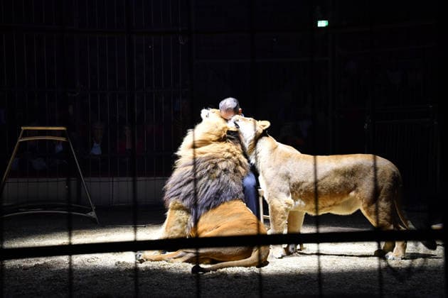 Martin Lacey jr Show Premiere Winter Season 2025 Circus Krone Ich Du, Wir Krone Manege Kronebau Munich December 25, 2025