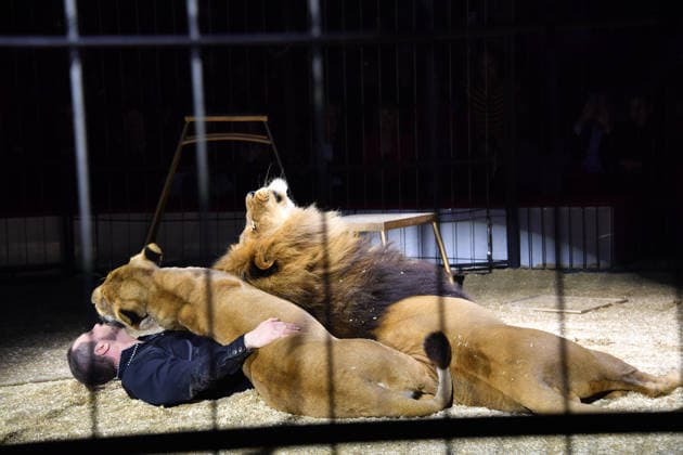 Martin Lacey jr Show Premiere Winter Season 2025 Circus Krone Ich Du, Wir Krone Manege Kronebau Munich December 25, 2025