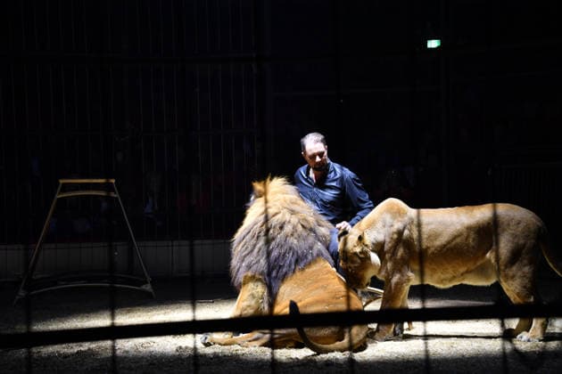Martin Lacey jr Show Premiere Winter Season 2025 Circus Krone Ich Du, Wir Krone Manege Kronebau Munich December 25, 2025