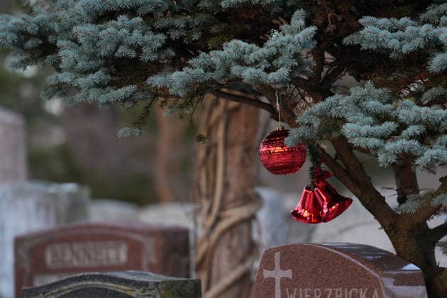 Deer in Toronto s Park Lawn Cemetery TORONTO, CANADA - DECEMBER 25 : Christmas ornament placed on a tombstone is seen at Park Lawn Cemetery in Toronto, Ontario on Christmas Day, December 25, 2025. Mert Alper Dervis Anadolu Toronto Canada. Editorial use only. Please get in touch for any other usage.  Copyright: x2025xAnadoluxMertxAlperxDervisx