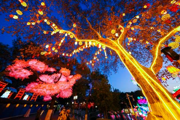 Festive Lantern Exhibited in Nanjing Tourists enjoy festive lanterns in Bailuzhou Park in Nanjing, Jiangsu Province, China on December 26, 2025. Nanjing Jiangsu China  Copyright: xCFOTOx i1766822427568