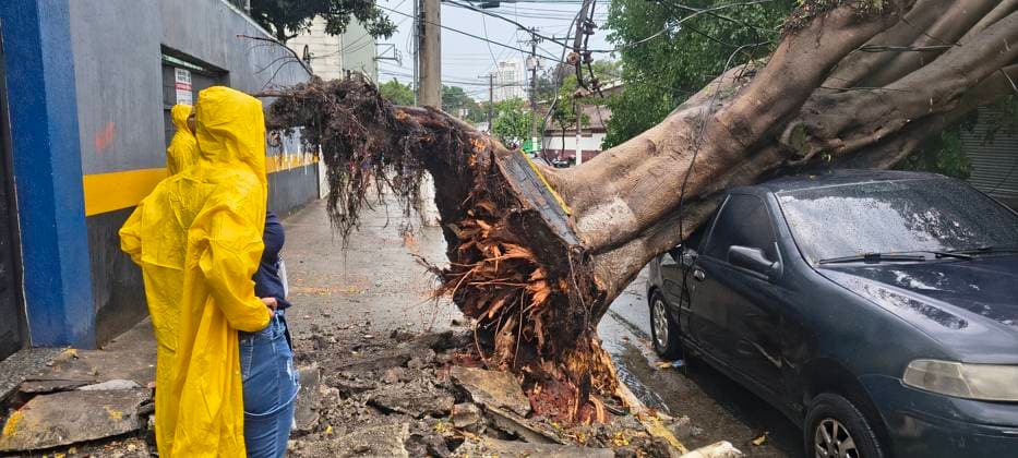RECORD DATE NOT STATED Tree falls on vehicles in Sao Paulo. Sao Paulo (SP), 12 27 2025 - Tree Fall Climate Weather SP - Tree falling on vehicles at 185 Javari Street, between 1600 Presidente Wilson Avenue and 600 Wilson Costa Street in the Mooca region due to a storm, in the city of Sao Paulo, this Saturday, December 27, 2025. (Foto: Oslaim Brito Thenews2 imago images) Tree falls on vehicles in Sao Paulo.  Copyright: xOslaimxBritox