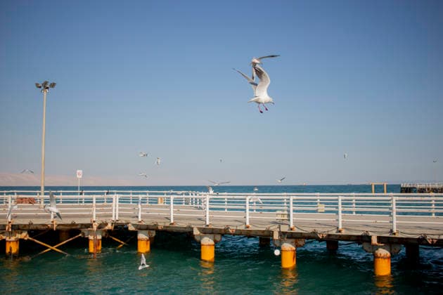 Daily Life on Irans Kish Island Seagulls fly over the Persian Gulf and a recreational pier on Kish Island, Iran, on October 17, 2017. Kish Island, a free trade zone in the Persian Gulf, is a tourist destination known for its shopping malls, beaches, and resort hotels. Kish Island Hormozgan Iran Copyright: xArashxOskoeeix