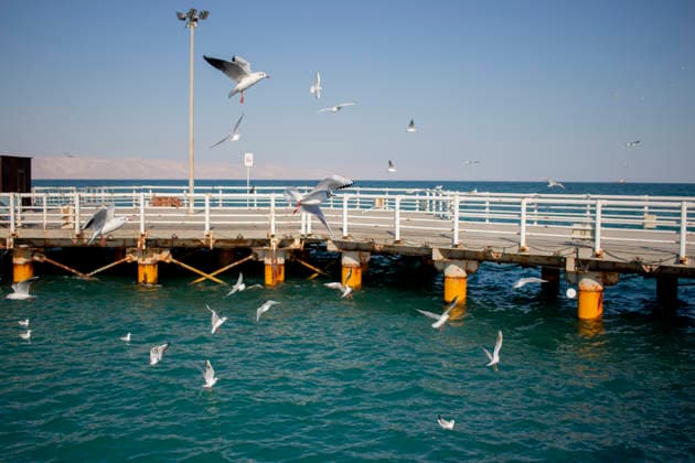 Daily Life on Irans Kish Island Seagulls fly over the Persian Gulf and a recreational pier on Kish Island, Iran, on October 17, 2017. Kish Island, a free trade zone in the Persian Gulf, is a tourist destination known for its shopping malls, beaches, and resort hotels. Kish Island Hormozgan Iran Copyright: xArashxOskoeeix