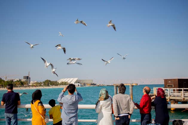 Daily Life on Irans Kish Island People watch seagulls flying over the Persian Gulf from a recreational pier on Kish Island, Iran, on October 17, 2017. Kish Island, a free trade zone in the Persian Gulf, is a tourist destination known for its shopping malls, beaches, and resort hotels. Kish Island Hormozgan Iran Copyright: xArashxOskoeeix