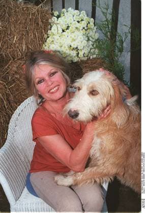 ARCHIVES BRIGITTE BARDOT PARTICIPATE IN THE DAY ORGANIZED BY THE LA MARE AZOU REFUGE IN SAINT AUBIN LE GUICHARD France  Copyright: xANGELI-GUIRECx xBESTIMAGExANGELI-GUIRECx xBESTIMAGEx