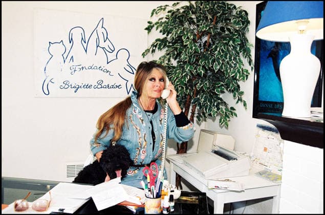 ARCHIVES BRIGITTE BARDOT A LA FONDATION DE BRIGITTE BARDOT Saint tropez France  Copyright: xAGENCEx xBESTIMAGExAGENCEx xBESTIMAGEx