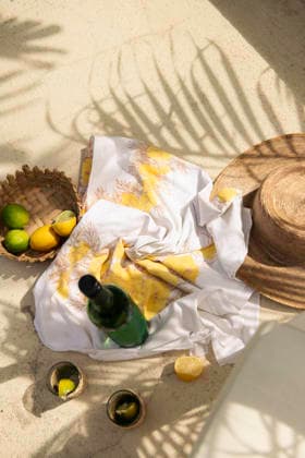 Vacation scene with citrus, bottle, sunhat and palm shadow Speightstown, Saint Peter, Barbados R_WDJM251226A-1917125-01