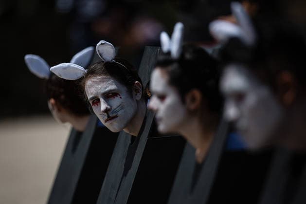 Protest against animal testing in Mexico City MEXICO CITY, MEXICO - APRIL 24: Protesters dressed as an animal are seen during the protest of the pro-animal organization AnimaNaturalis against animal testing at the Monumento a la Revolucion, in Mexico City, Mexico on April 24, 2016. Mexico Mexico. Editorial use only. Please get in touch for any other usage.  Copyright: x2025xAnadoluxManuelxVelasquezx