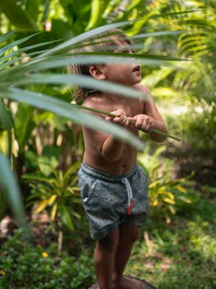 young boy playing with large palm leaf Bridgetown, Saint Michael, Barbados CR_WDJM251229-1926531-01 ,model released, Symbolfoto