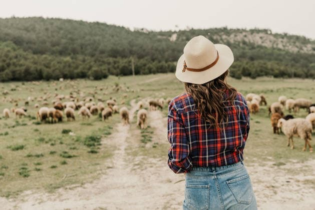 A woman wearing a straw hat stands in a field of sheep A woman wearing a straw hat stands in a field of sheep. The sheep are scattered throughout the field, with some closer to the woman and others further away. Concept of peacefulness and tranquility, model released, , 97913152.jpg RECORD DATE NOT STATED