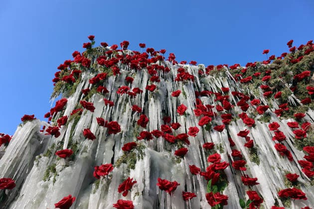HAMI, CHINA - JANUARY 02: A view of an icefall adorned with roses and crowned by a heart-shaped ceiling at a cultural and creative park on January 2, 2026 in Hami, Xinjiang Uygur Autonomous Region of China. The icefall adorned with roses and a heart-shaped ceiling creates a scene of pure romance in winter.  Copyright: xVCGx 111612971239
